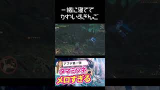 【モンハンワイルズ】第一弾アプデが来たぞぉ！最推モンスタータマミツネを狩る♡♡♡