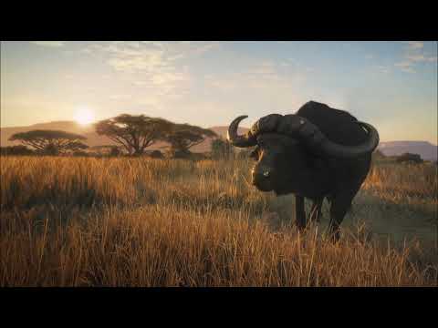 Adam Husa - Wild Thing