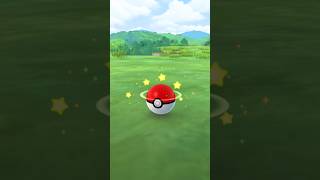 Pokemon Go Catch!!!!      #shorts #pokemon #pokemongo #gottacatchemall
