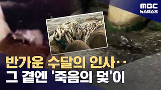 도심 해안가서 수달 목격‥폐어구 익사 위험 (2026.04.26/뉴스데스크/MBC)