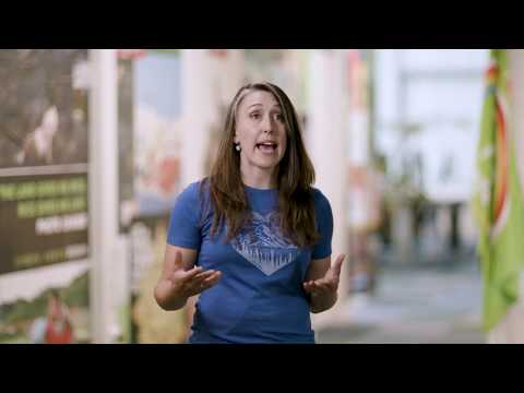 Open by nature: What building a platform for activists taught me about playful development