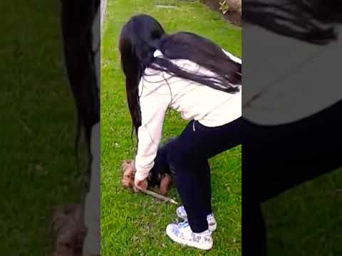 8 de octubre de 2017