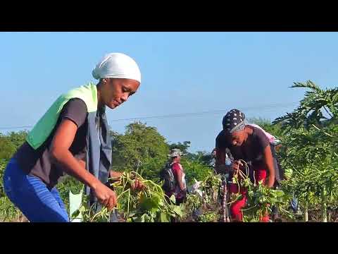 Analizan temas de interés económico social en Asamblea del Poder Popular en Songo-La Maya