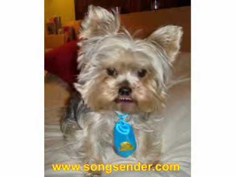 Happy Birthday Ved!!!