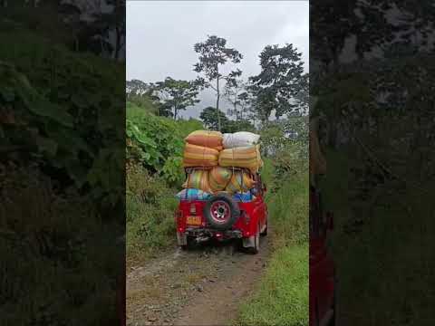de Colombia para el mundo,  asi sale el café desde chaparral Tolima #café #uaz