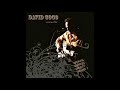David Gogo - Acoustic, Official Bootleg Series Vol  2