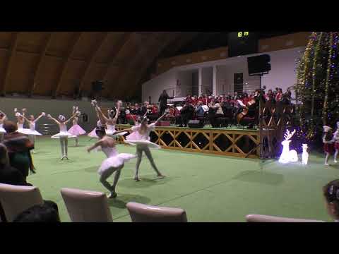 2018 Impreuna de Sarbatori Comanesti