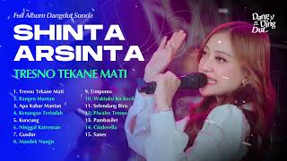 Download lagu TRESNO TEKANE MATI - SHINTA ARSINTA | FULL ALBUM DANGDUT KOPLO MUARA BINTANG 2025 mp3