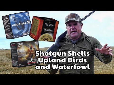 Choosing Shotgun Shells for Upland and Waterfowl Hunting 