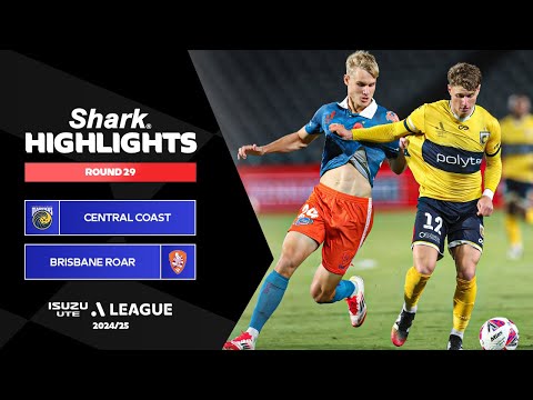 bg-highlight