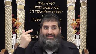 הרב אופיר טנג'י - פרפראות בפרשה - פרשת וארא