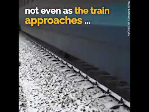 See the dog helping his partner and help each other.