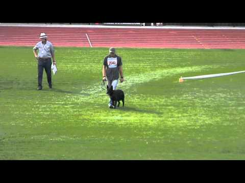 Buffy vom Spektefeld 1