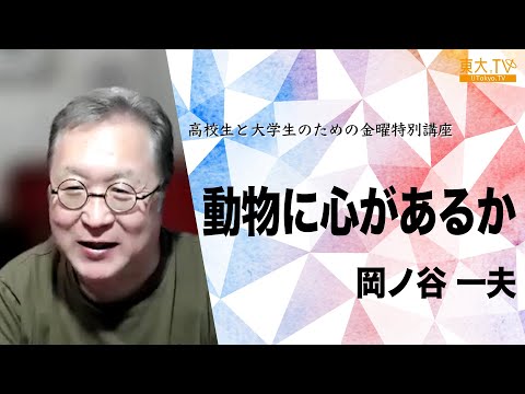 動物たちへの心