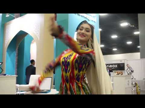 Welcoming the World to WTE Miami 2024 | Highlights