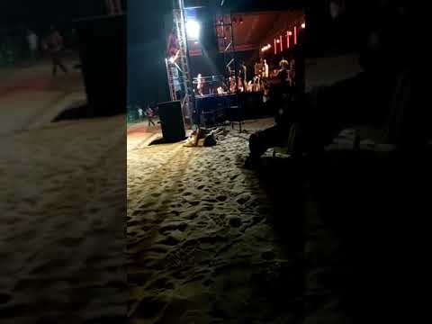 Tony chichi live show