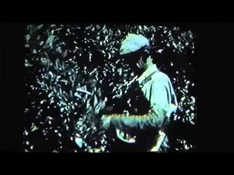 A look back at circa-1940 Orange County - 2012-04-15