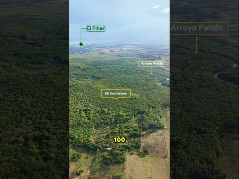 Venta de Campo 86 hectáreas en Pando - Canelones