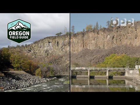 Before and after scenes of the Klamath River dam removal | Oregon Field Guide
