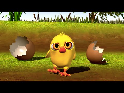 The Little Chick Cheep | Zenon the Farmer