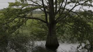  السيدة نجيبة جيلالي تتسلم مهامها كوزيرة للبيئة و جودة الحياة