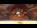 The Legend Of Zelda The Wind Waker HD Boss 1 Gohma