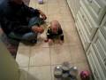 Baby Bowling