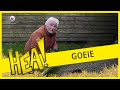 HEA! Goeie