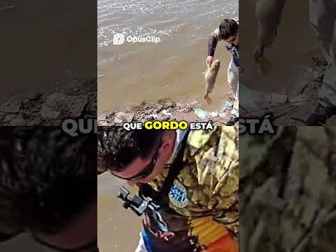 Pescando un Pez Gordo  ¡Mira el Tamaño de Este Cerdo!