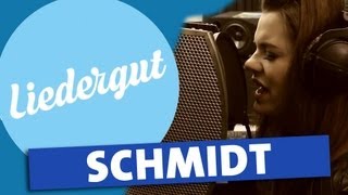 SCHMIDT im Liedergut-Talk! Heart Shaped Gun unplugged