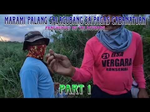 EP,836. panghuhuli ng salagubang catch and cook part 1.