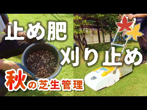 秋の芝生肥料で芝生を冬に備えましょう トピックス