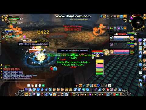 MalivaHunter - Triple DPS