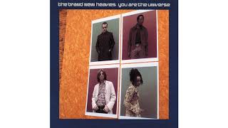 The Brand New Heavies - You Are The Universe (Radio Version)