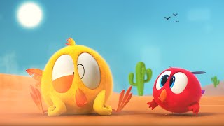 Chicky in the desert | Where's Chicky? | Cartoon Collection in English for Kids | New episodes