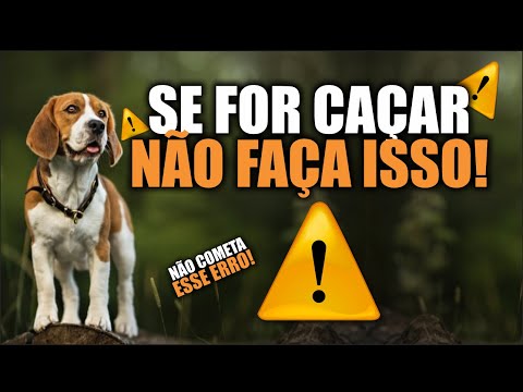 Não Faça Isso Se Você For Caçar - 5 Erros Antes De Sair Pra Caçar