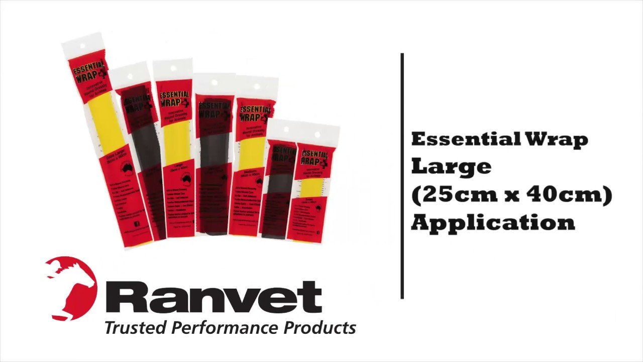 Essential Wrap: How to apply the large wrap