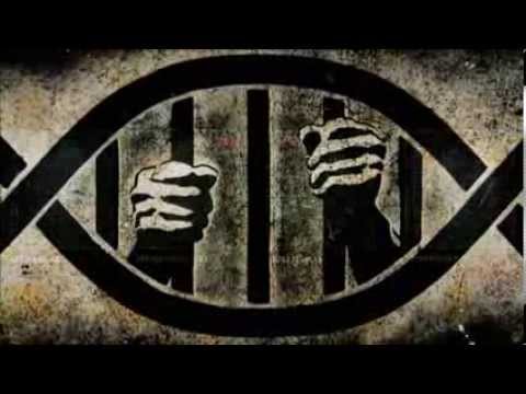 Zeitgeist Moving Forward lektor PL 1/4 - Natura Ludzka