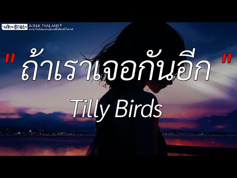 ถ้าเราเจอกันอีก (Until Then) - Tilly Birds | ไฟเย็น,ขอเวลาลืม,วาดไว้ (เนื้อเพลง)