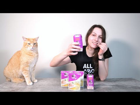 Whiskas Cat Food Review (We Sent it to a Lab)