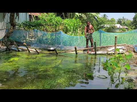 Most Satisfying Cast Net Fishing Video   Traditional Net Catch Fishing 2021