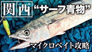 [jigging] Aiming for blue back fish in winter Wakayama / Mie surf / Enjugahama / Shichiri Mihama / Lure rotation commentary / Mitsuteru Kanai