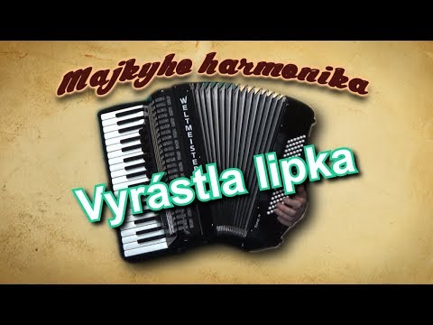 Majky - Vyrástla lipka (akordeón)