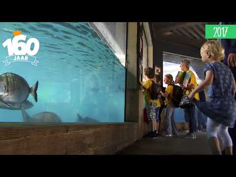 De geschiedenis van Diergaarde Blijdorp: onderwaterwereld