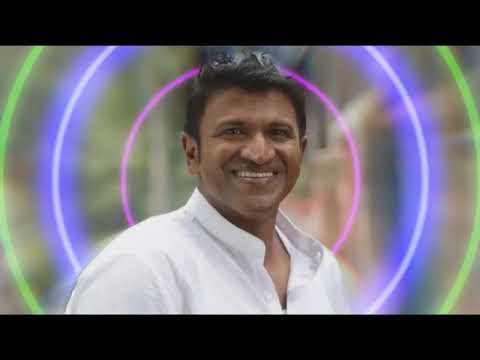 Happy New Year Wishes by Power Star Puneeth Rajkumar💖| Small Oring #smalloring #year  #happynewyear 