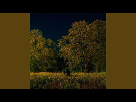 Devil on my Shoulder