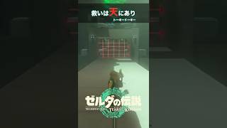 か～み～さま～ #ゼルダの伝説ティアーズオブザキングダム