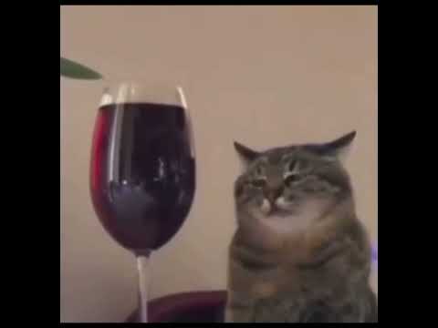 Heart to Heart x School Rooftop Birds (Slowed + Reverb) | Mac DeMarco