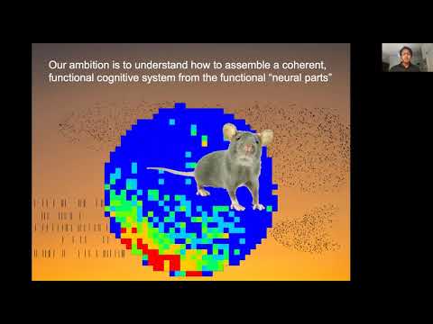 The BRI Joint Seminar In Neuroscience - Andre Fenton, Ph.D.