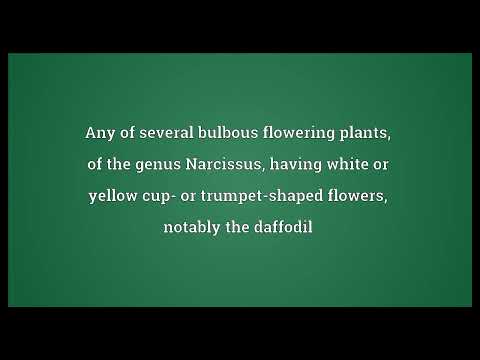 Narcissus Meaning